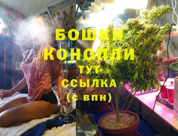 PSILOCYBIN Аркадак