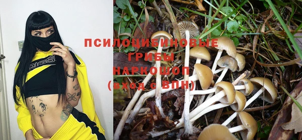 ГАЛЛЮЦИНОГЕННЫЕ ГРИБЫ Балабаново
