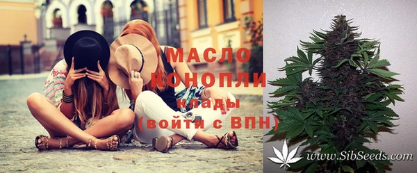 PSILOCYBIN Аркадак