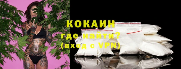 PSILOCYBIN Аркадак