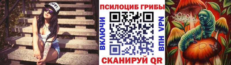 даркнет состав  купить наркотики цена  Мамадыш  Галлюциногенные грибы прущие грибы  MEGA зеркало 